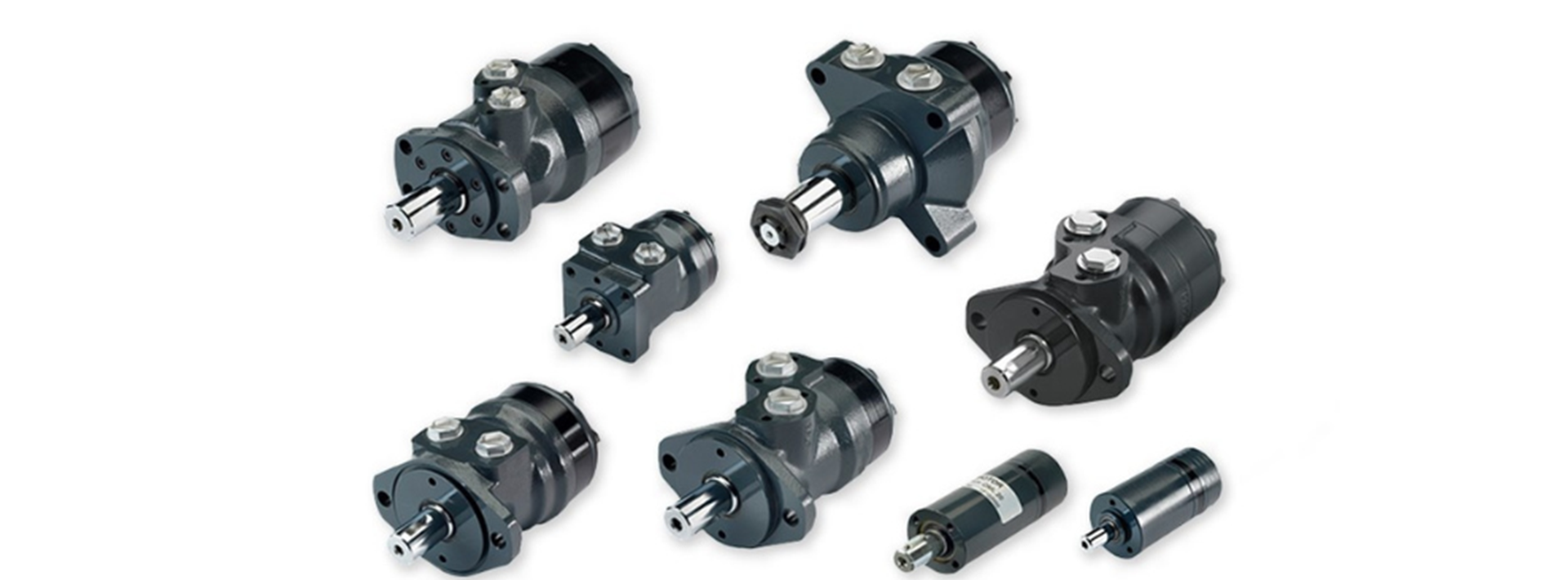Orbital Motor Orbital Motor