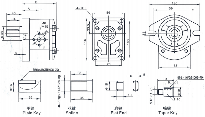 CBW-F300 Series Gear Pump pic CBW-F300 Series Gear Pump pic