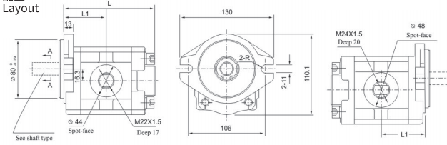 DSG06 Series Gear Pump pic DSG06 Series Gear Pump pic