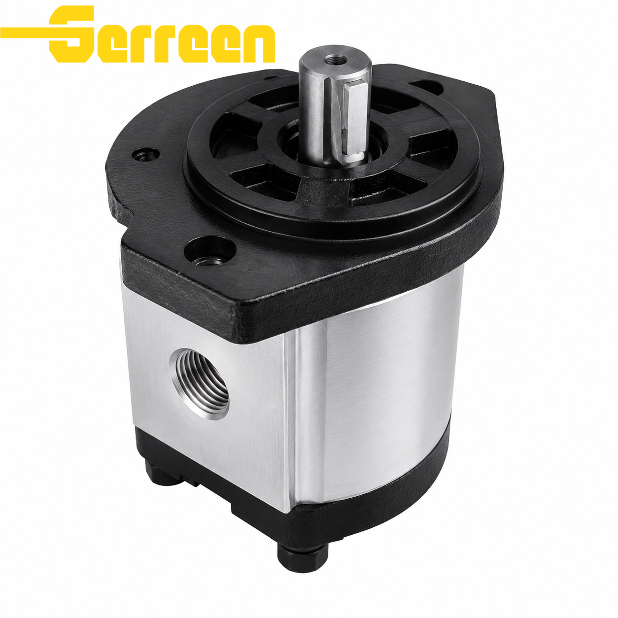 GHP2 Series Gear Pump GHP2 Series Gear Pump