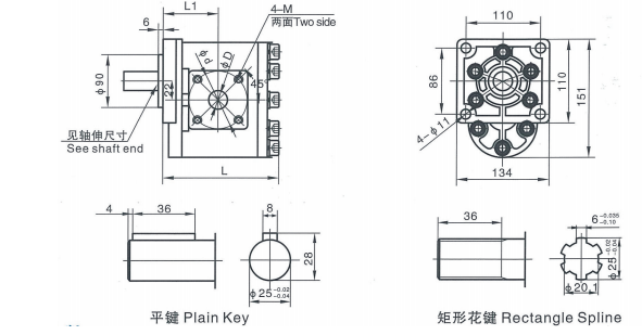 CBT-F500 Series Gear Pump pic CBT-F500 Series Gear Pump pic