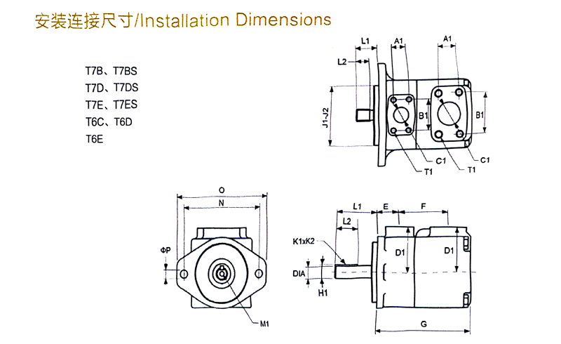 T6、T7 series-pin vane pump picture