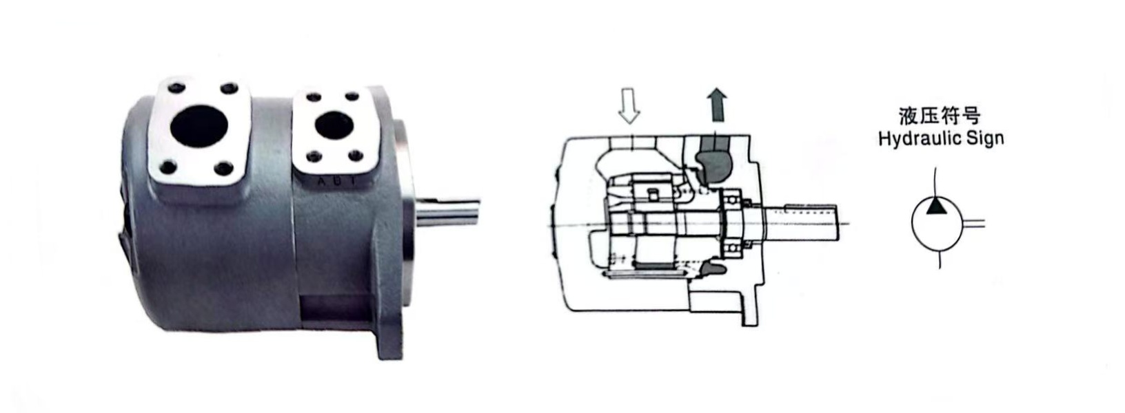 SQP Series Vane Pumps