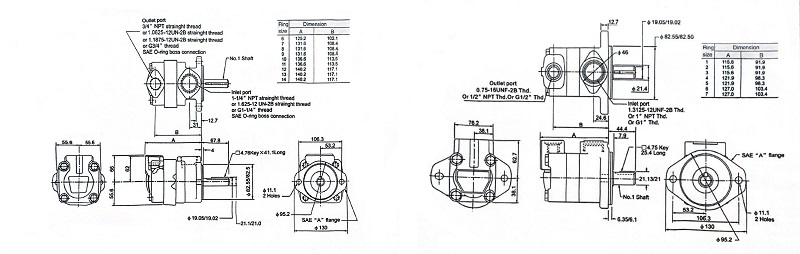V10 20 Series -vane Pumps