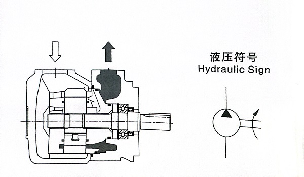 25VQ Vane Pump - Green