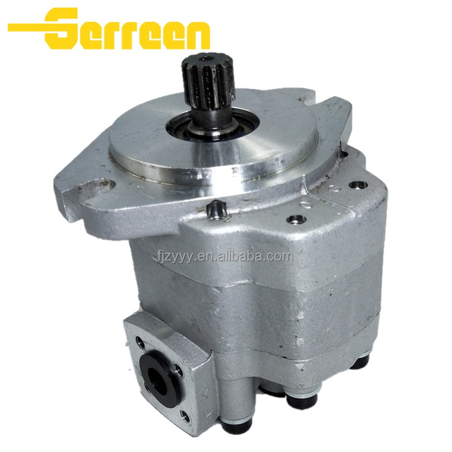 GM5-20-1FE13S-20 Charge Pump