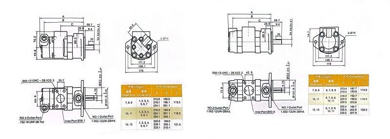 V2010，2020 series-double pumps