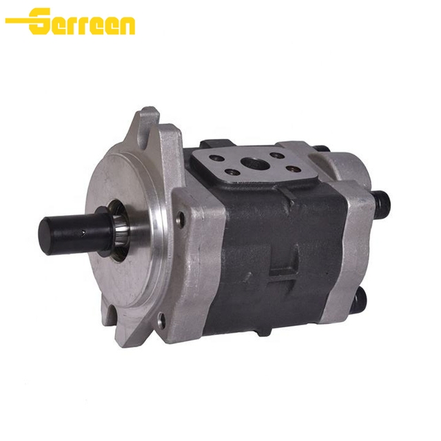 DSG06 Gear Pump