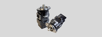 Gear Pump