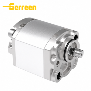 1SP Group 1 Gear Pump