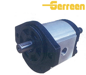 2GG Series Gear Pump 2 Inch