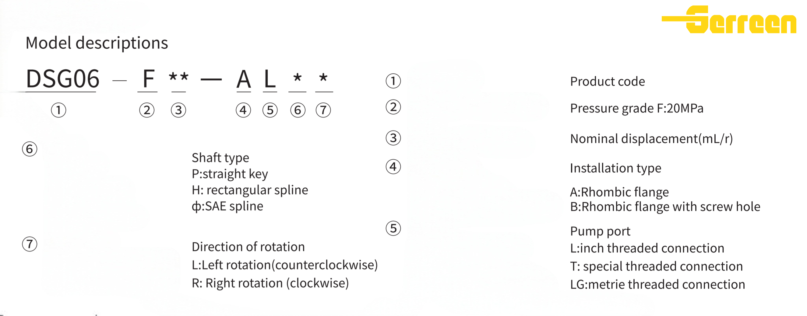 DSG06(1)