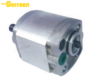 RGP-F1 commercial gear pump