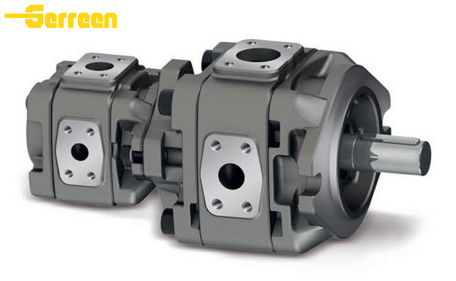 VG21 Gear Double Pump