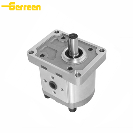 CBS-D300 Gear Pump