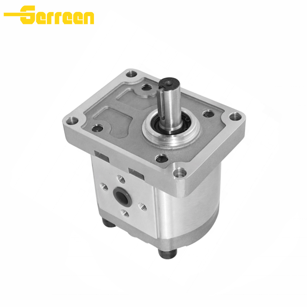 CBS-D300 Gear Pump