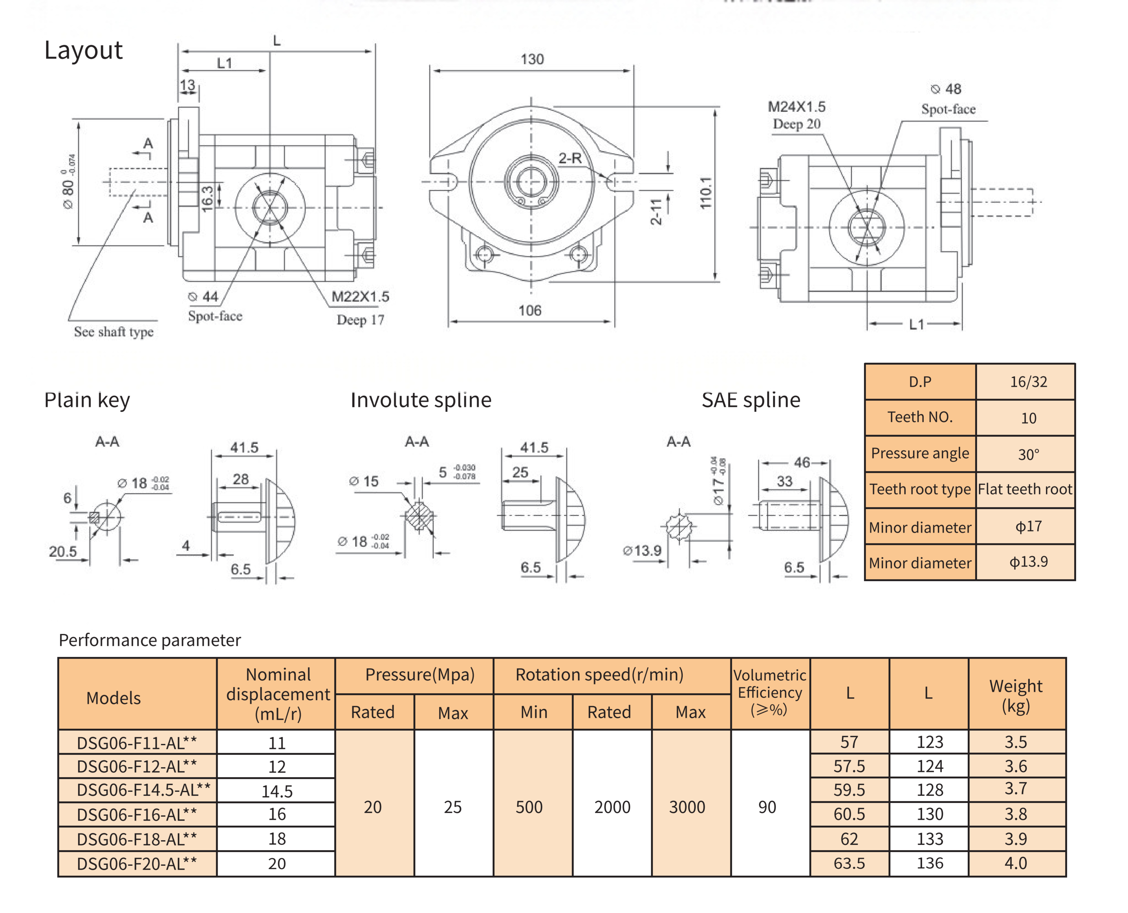 DSG06(2)