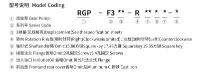 RGP-F300 CODES