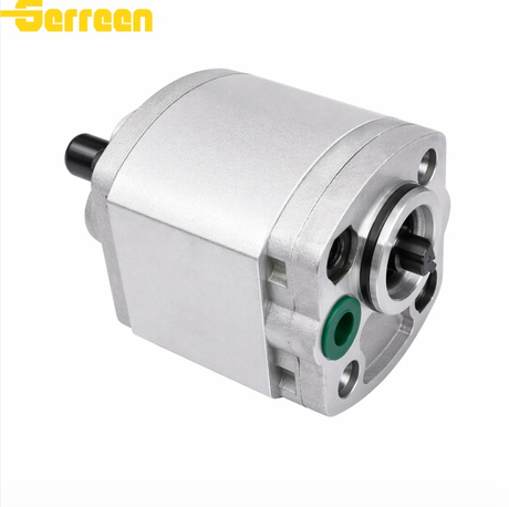 Pompa Roda Gigi Seri RGP-F100