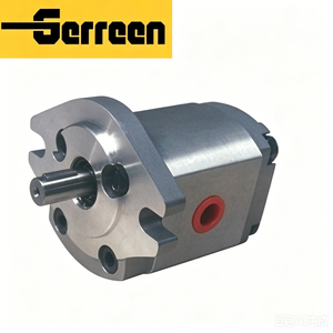 RGP-F200 Series Gear Pump Gear Pump Pictures