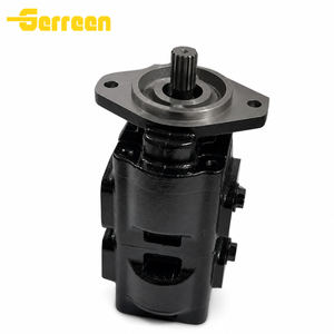 20/925338 DOUBLE PUMP for JCB