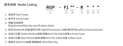 RGP-F100 CODES