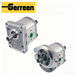 CBW-F300 Series Gear Pump Gear Pump Not Building Pressure